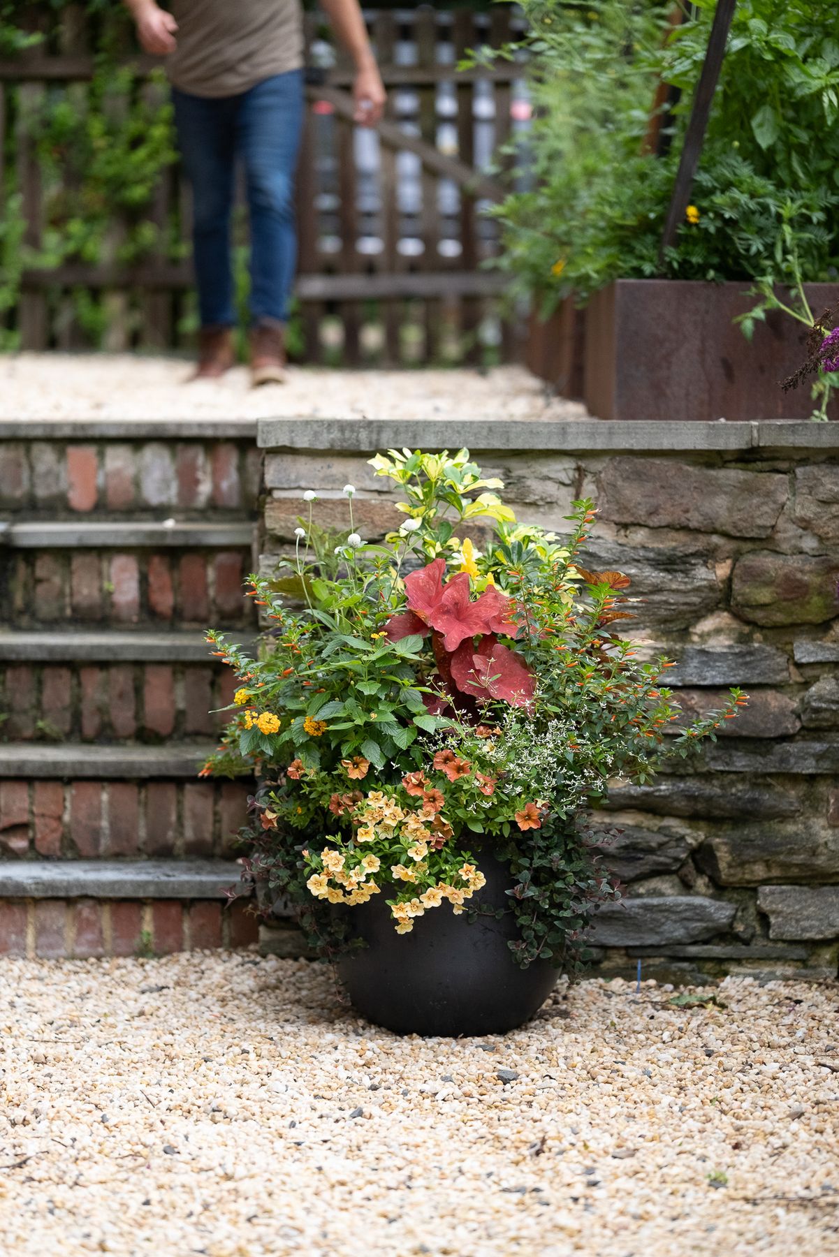 Enliven Planters summer container arrangement